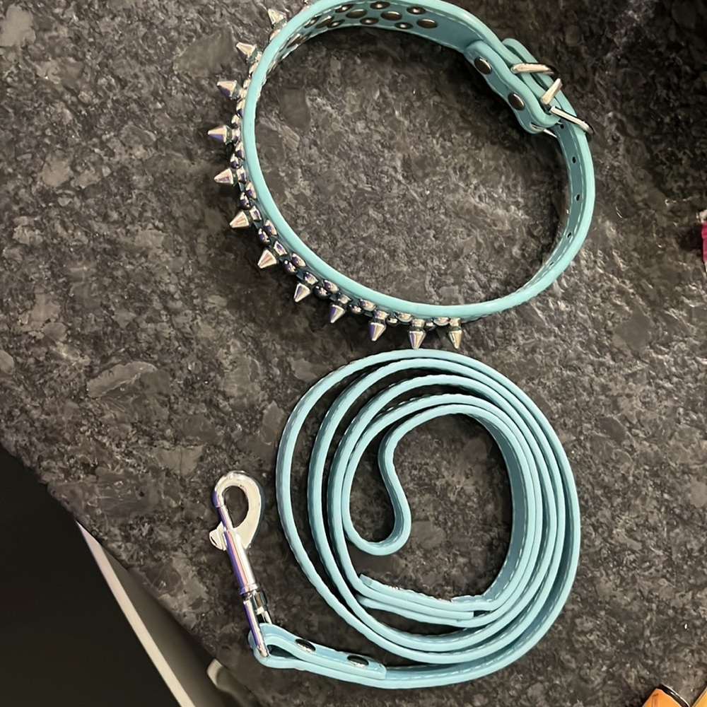 𝐔𝐏𝐆𝐑𝐀𝐃𝐄𝐃 𝐕𝐄𝐑𝐒𝐈𝐎𝐍 Spiked Studded Leather Dog Collar w/Leash Medium - Picture 4 of 4
